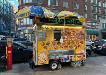 A Long Illegal Hustle Moves Into the Open as New York Expands Street Vendor Permits