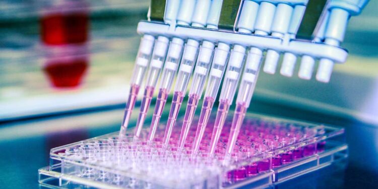 Radical AI Lab comes to NYC