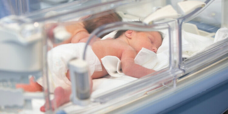 New York’s Life Expectancy Rebounds, But Deep Inequities Persist