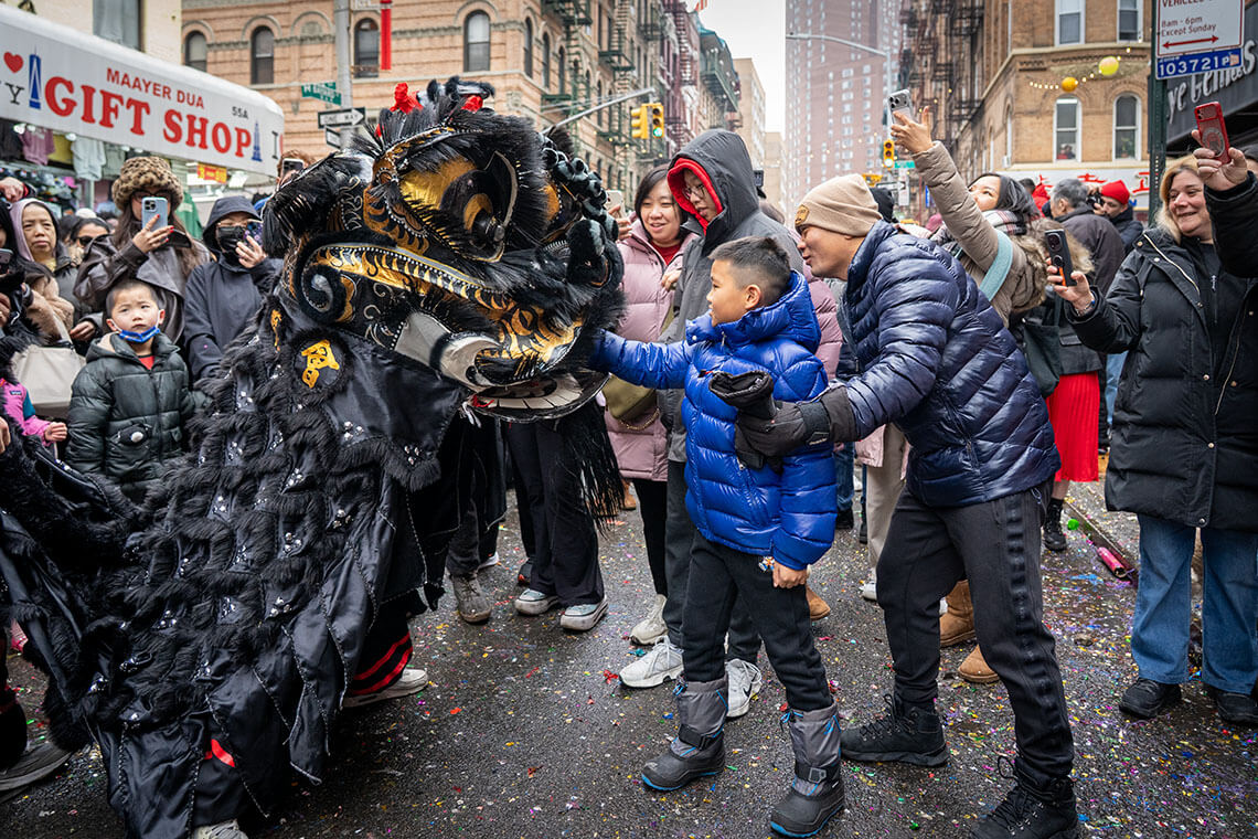 Year of the Fire Horse