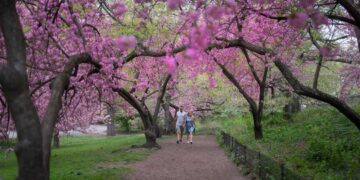 Ultimate Guide to NYC